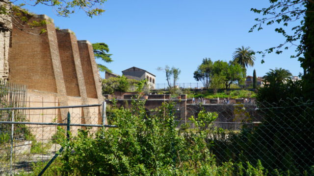 DSC09286