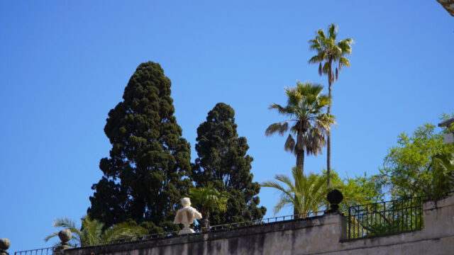 DSC09353