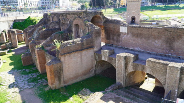 DSC09561