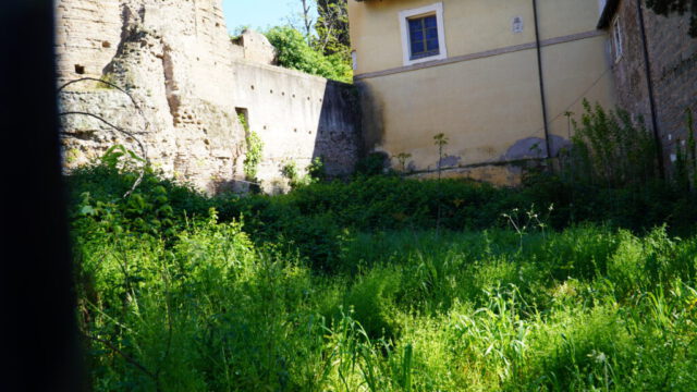 DSC09563
