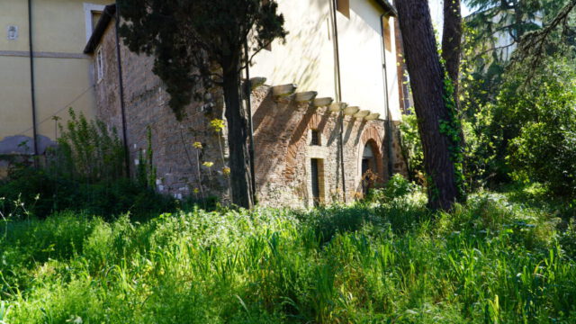 DSC09564