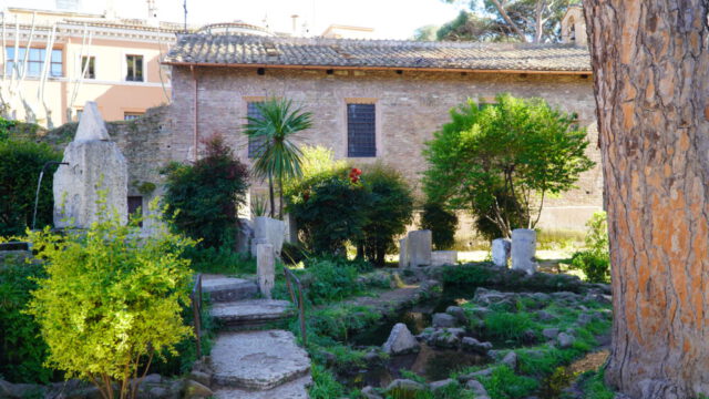 DSC09608