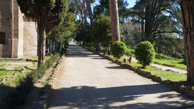 DSC09609